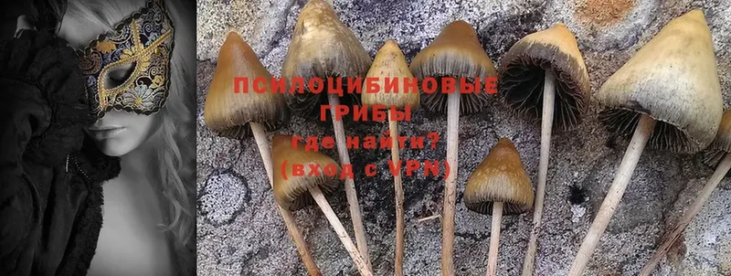 Галлюциногенные грибы Psilocybe  как найти закладки  Фёдоровский 